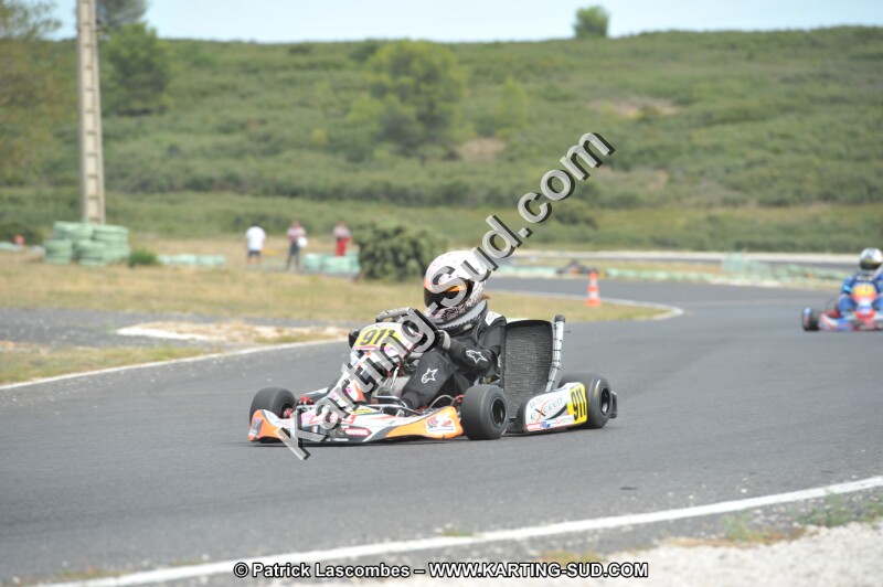 DSC (3537).JPG